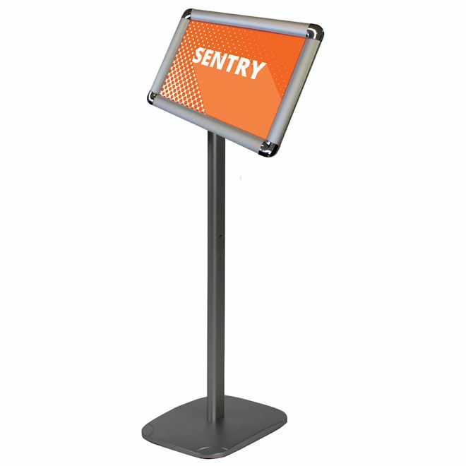 Sentry snap-frame display